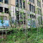 Spring 2002: an old overgrown siding, near 25th Street.  A lot of the buildings abutting the Line were abandoned and covered with graffiti. (Jake Dobkin)